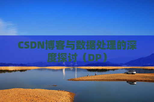 CSDN博客与数据处理的深度探讨（DP）